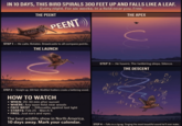 IN 10 DAYS, THIS BIRD SPIRALS 300 FEET UP AND FALLS LIKE A LEAF. Every night. For six weeks. In a field near you. Free. THE PEENT PEENT THE APEX STEP 1 - He calls. Rotates. Broadcasts to all compass points. THE LAUNCH C STEP 2-Straight up. 300 fest. Modified feathers create a twittering sound. HOW TO WATCH • WHEN: 20-30 min after sunset STEP 3-He hovers. The twittering stops. Silence. THE DESCENT • · WHERE: Any open field near woods FACE WEST-Silhouette against last light • STARTS: Feb 25 - March 5 • FREE. Just ears and eyes. The best wildlife show in North America. 10 days away. Mark your calendar. STEP 4-Falls in a zigzag. Singing the most beautiful sound he'll ever make.
