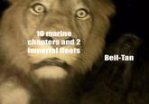 0 10 marine chapters and 2 imperial fleets Beil-Tan