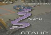 SNEK WHERE U GOIN'? SNEK. STAHP.