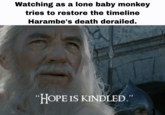 Watching as a lone baby monkey tries to restore the timeline Harambe's death derailed. "HOPE IS KINDLED."