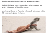 Each decade is defined by a zoo monkey in 2016 there was Harambe, who cursed us with 10 years of bad fortune. and now there is Punch, who will bless us with 10 years of good fortune.