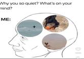 Why you so quiet? What's on your mind? ME: 444K