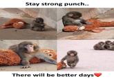 Stay strong punch.. There will be better days