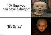 "Ok Egg, you can have a dragon" imgflip.com "It's Syrax"
