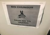 BIG CHUNGUS SAYS NO TO VAPING Follow the chung, don't ruin your lung