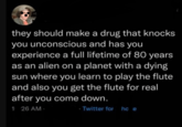 they should make a drug that knocks you unconscious and has you experience a full lifetime of 80 years as an alien on a planet with a dying sun where you learn to play the flute and also you get the flute for real after you come down. 126 AM Twitter for ho e