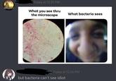 MINECRAFT Today at 12:25 PM What you see thru the microscope What bacteria sees Today at 12:26 PM but bacteria can't see idiot