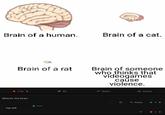 Brain of a human. Brain of a cat. Brain of a rat 7.5k+ Where's the brain Top left Now Brain of someone who thinks that videogames cause violence. 44 Share Award Reply 41+ +1+