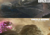 GODZILLA KING MONSTERS GODZILLA KONG THE NEW EMPIRE