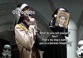 Ostrogoths *Reconquest of Rome (536 AD) What do you call yourself? Rex? That's my dog's name, you're a German Shepherd.