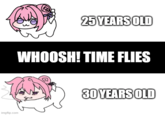 imgflip.com 25 YEARS OLD WHOOSH! TIME FLIES 30 YEARS OLD