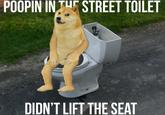 POOPIN IN THE STREET TOILET DIDN'T LIFT THE SEAT