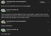 estrogenesis-eeveeangelion Jun 9 quiz: why do lobsters have one claw bigger butch-snorlax Jun 9 Follow They evolved to handle different prey. the larger crusher claw cracks open ahrder prey like a molar tooth, whilst the smaller pincer claw rips apart soft prey similar to an incisor tooth. estrogenesis-eeveeangelion Jun 9 theyre lobsided butch-snorlax Jun 9 oh I see! yay!