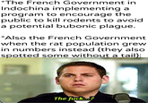 *The French Government in Indochina implementing a program to encourage the public to kill rodents to avoid a potential bubonic plague. *Also the French Government when the rat population grew in numbers instead (they also spotted some without a tail): The f---...?