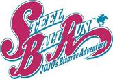 TEEL 4/2/31 PAVEL DUNY JOJO's Bizarre Adventure