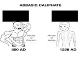 ABBASID CALIPHATE 800 AD House of House of Wisdom Ashes 1258 AD