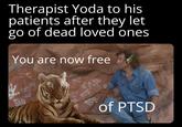 Therapist Yoda to his patients after they let go of dead loved ones You are now free of PTSD