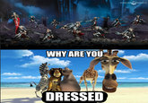 WHY ARE YOU DRESSED WARHAMMER COMMUNITY