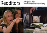 Redditors An opinion that contradicts theirs even slightly