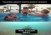 TALKING ABOUT NAPOLEON'S LEGACY NAPOLEONIC CODE HIS MILITARY CAREER THE SUGAR BEET FAN