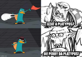 imgflip.com IZZAT A PLATYPUS? OI! PERRY DA PLATYPUS!