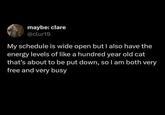 maybe: clare @clur19 My schedule is wide open but I also have the energy levels of like a hundred year old cat that's about to be put down, so I am both very free and very busy