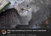 Kitty says something to me but I don't understand her Robin Seplut 711K views 11 months ago 6:01