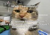 Wait... seriously? literallymecats ional st You're going to blame me? Just because it's all my fault? Are you for real?