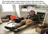 The plumber has been here 20 minutes. My cat of 8 years has never sat on my lap. ค กาล กท CAT OVERLOOS UE