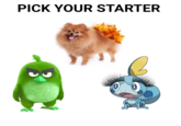 PICK YOUR STARTER