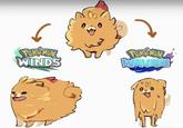 WINDS Pokémon WAVES W