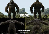 KONG SKULL ISLAND GODZILLA-KONG THE NEW EMPIRE TM & © 2024 Legendary. All rights reserved. TM & © 2024 Wamer Bros. Entertainment Inc. All rights reserved. TM & © 2024 Legendary. All rights reserved. TM & ©2024 Wamer Bros. Entertainment Inc. All rights reserved.