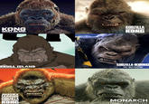 KONG SKULL ISLAND GODZILLA KONG GODZILLA KONG SKULL ISLAND THE NEW EMPIRE JUSTICE LEAGUE GODZILLA KONG MONARCH LEGACY OF MONSTERS