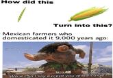 How did this Turn into this? Mexican farmers who domesticated it 9,000 years ago: @yourhistoryplug What can I say except you're-welcome?