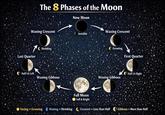 The 8 Phases of the Moon New Moon Waning Crescent Invisible Waxing Crescent Last Quarter Shrinking Half Lit Left Waning Gibbous Full Moon Full & Bright Growing First Quarter Half Lit Right Waxing Gibbous -Vaxing = Growing Waning Shrinking Crescent = Less than Half Gibbous More than Half
