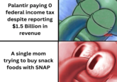 Palantir paying O federal income tax despite reporting $1.5 Billion in revenue A single mom trying to buy snack foods with SNAP