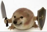The Cheems doge with a sword and shield.