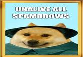 UNALIVE ALL SPAMRROWS dogemuchwow.com