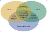 Incel sheets are never clean Excel the Incorrectly assuming something makes dying is a date a mess on gasp of my desktop wasps Me eating a fig