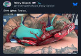 Riley Black @restingdinoface.bsky.social She gets fussy. ALT
