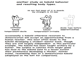 another study on kobold behavior and resulting body types. im not fat! most of it is muscle. my strength is 10 now. sunflower kobold temperament: docile stingbee kobold temperament: irritable (body type before appprenticeship) occasionally a kobold otherwise resistant to domestication will accept an apprenticeship from a human teacher. this most often leads to the kobold developing a student-mentor bond, though they are still largely independent. in this particular example, the kobold has been taught archery by a hunter. the surplus in calories from larger game has lead to the kobold (and to a lesser extent their packmates) developing a thicker, fattier frame, resembling that of a domesticated kobold (displayed on the left for comparison).