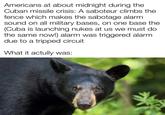 Americans at about midnight during the Cuban missile crisis: A saboteur climbs the fence which makes the sabotage alarm sound on all military bases, on one base the (Cuba is launching nukes at us we must do the same now!) alarm was triggered alarm due to a tripped circuit What it actully was: