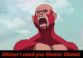 Shimo! I need you Shimo! Shimo!