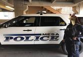 MESA POLICE