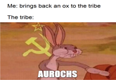 Me: brings back an ox to the tribe The tribe: AUROCHS