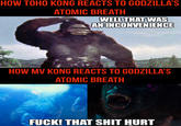 HOW TOHO KONG REACTS TO GODZILLA'S ATOMIC BREATH WELL THAT WAS AN INCONVENIENCE maflip.com HOW MV KONG REACTS TO GODZILLA'S ATOMIC BREATH F---! THAT S--- HURT