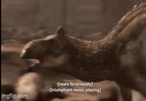imgflip.com -[roars ferociously] -[triumphant music playing]