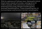 This is a picture of Tehran now. Covered in thick black toxic clouds of smoke, raining oil on 9 million people with cancerous polluted air entering every lung. People breathing this. Animals breathing this. Trees breathing this. A humanitarian and environmental catastrophe.