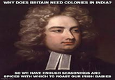WHY DOES BRITAIN NEED COLONIES IN INDIA? SO WE HAVE ENOUGH SEASONINGS AND SPICES WITH WHICH TO ROAST OUR IRISH BABIES imgflip.com