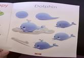 ppy Dolphin 6 14
